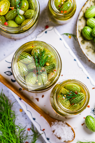 Image of Homemade food: Pickled cucamelons (pickled cucumbers, pickled gherkins), grown in a organic garden