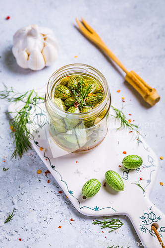 Image of Homemade food: Pickled cucamelons (pickled cucumbers, pickled gherkins), grown in a organic garden