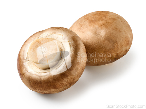 Image of fresh raw mushrooms on white background