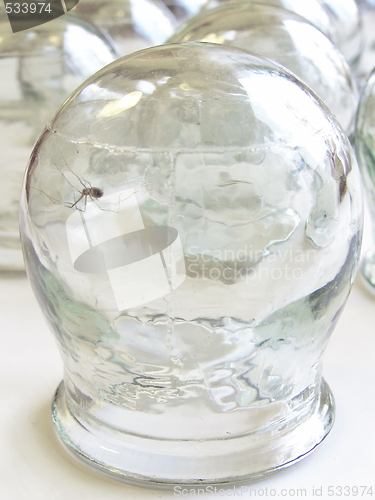 Image of spider in the medical cupping glass