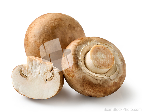 Image of fresh raw mushrooms on white background