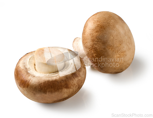 Image of fresh raw mushrooms on white background