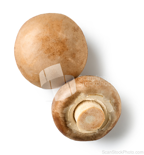 Image of fresh raw mushrooms isolated on white background