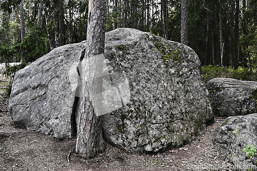 Image of large stone boulder in a deep forest 