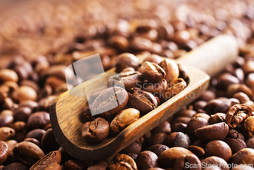 Image of Coffee beans background. Coffee close up texture.