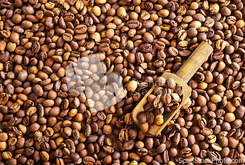 Image of Coffee beans background. Coffee close up texture.