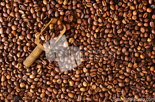 Image of Coffee beans background. Coffee close up texture.