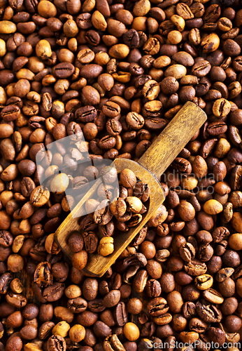 Image of Coffee beans background. Coffee close up texture.