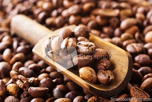 Image of Coffee beans background. Coffee close up texture.