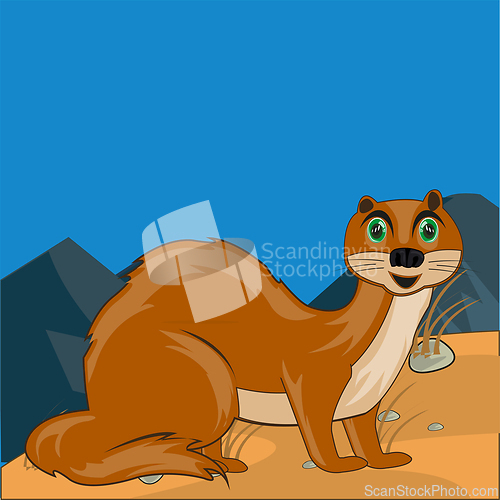 Image of Wildlife marten on background of the wild nature