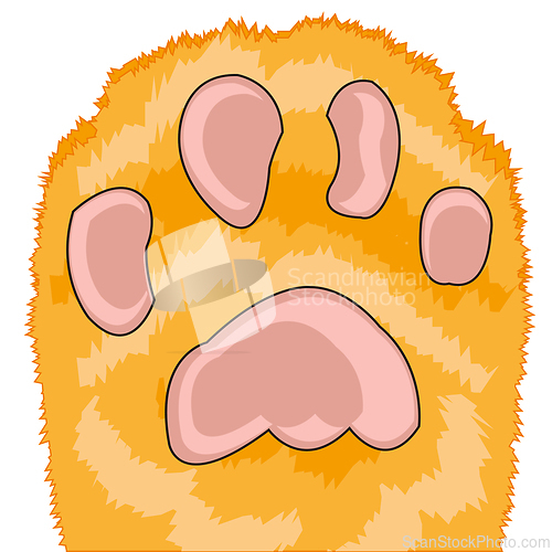 Image of Paw animal on white background is insulated