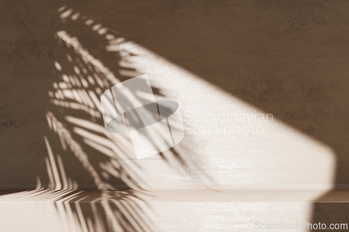 Image of Minimal product placement background with palm shadow on concret