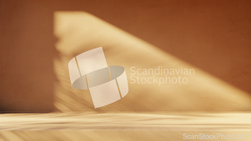 Image of Minimal product placement background with palm shadow on plaster
