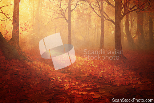 Image of Autumn forest with fallen red leaves and sun rays