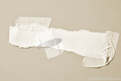 Image of beige color torn paper background