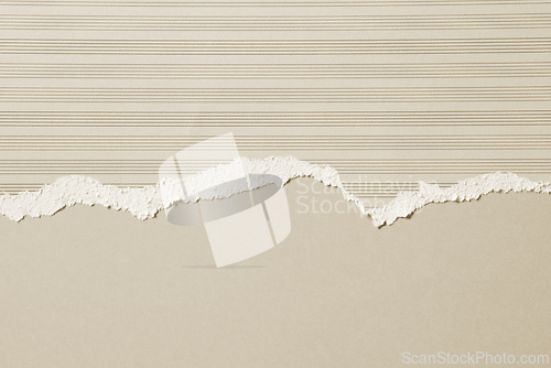 Image of beige color torn paper background