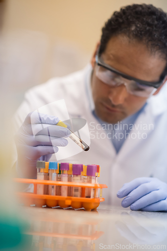 Image of Doctor and lab technician examining blood samples in a clinical testing laboratory
