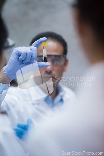 Image of Middle Eastern doctor examining a blood sample in a clinical lab with technician during testing and diagnostics