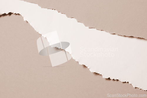 Image of beige color torn paper background