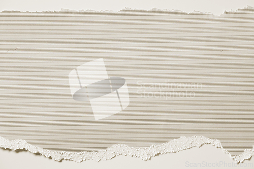 Image of beige color piece of paper with irregular, ripped, and torn edge