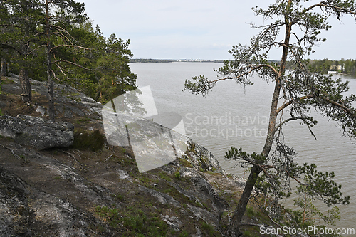 Image of a rocky cliff covered with pine trees overlooking a calm body of