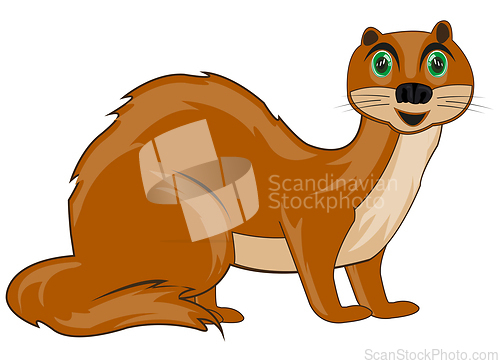 Image of Wildlife polecat on white background is insulated