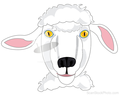 Image of Portrait home animal sheep on white background is insulated