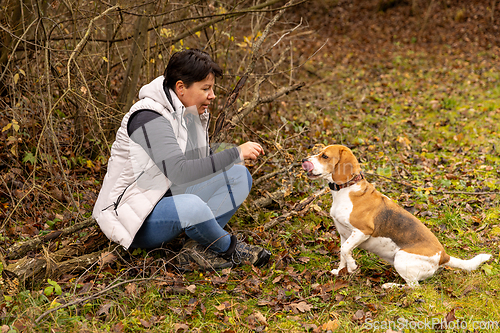 Image of Woman training beagle dog