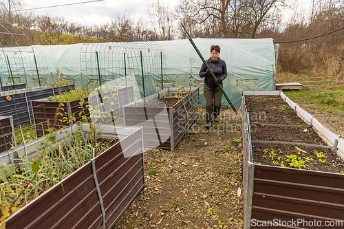 Image of Woman gardening in an outdoor farm