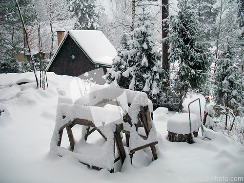 Image of Forest in winter