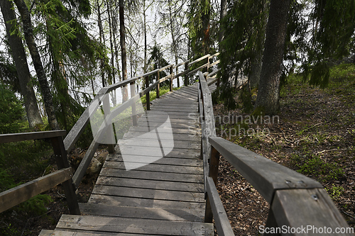 Image of  a wooden staircase winding through a dense forest