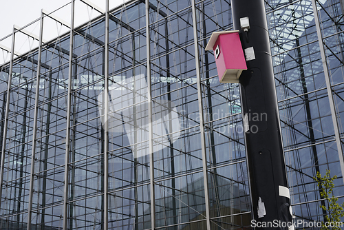 Image of a modern glass building and a bright pink birdhouse mounted on a
