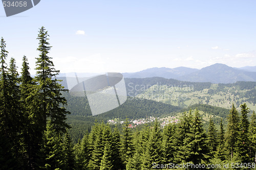 Image of Forest landscape