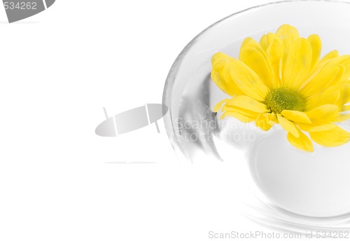 Image of yellow flower