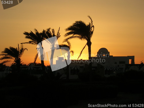 Image of Sunset in Africa