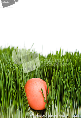 Image of Easter egg