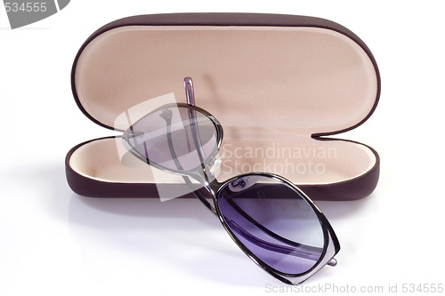 Image of Sunglasses with spectacle case