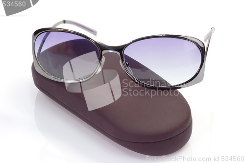 Image of Sunglasses on spectacle case