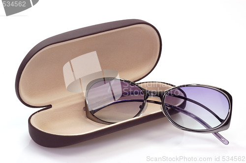 Image of Sunglasses in spectacle case