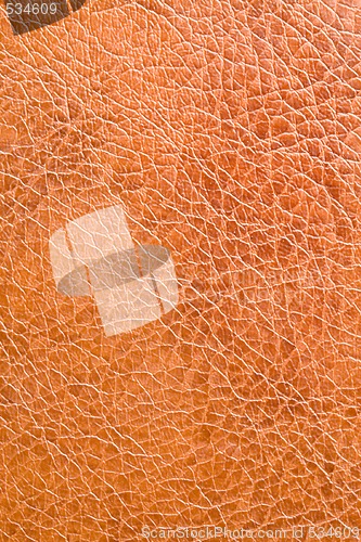 Image of Leather Texture