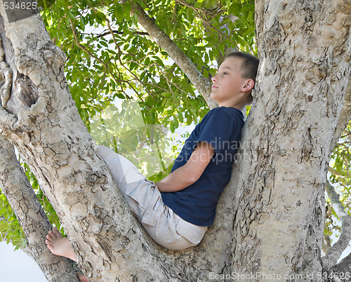 Image of thoughtful boy in a tree