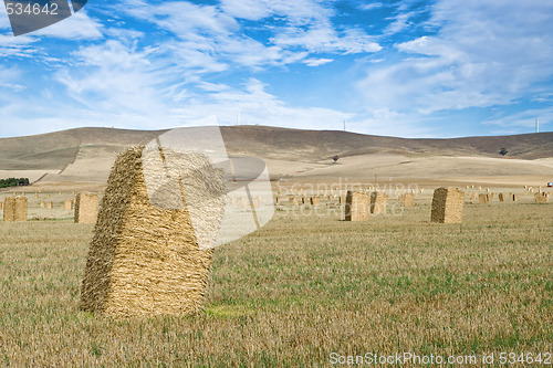 Image of farm landscape