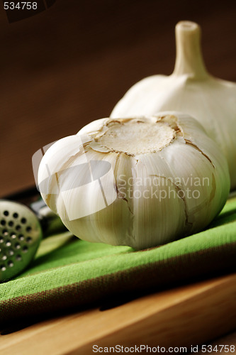 Image of garlic