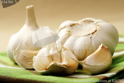 Image of garlic