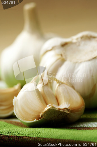 Image of garlic