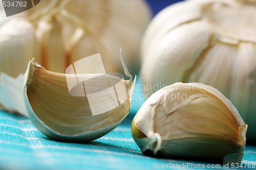 Image of garlic