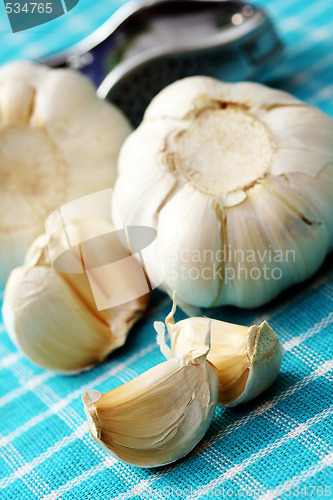 Image of garlic