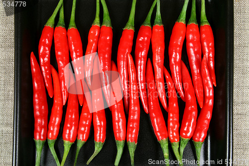 Image of Red chilli peppers.