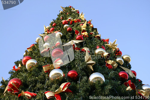 Image of Outdoor Christmas tree