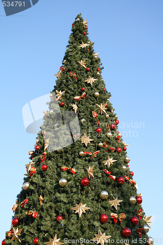 Image of Christmas tree